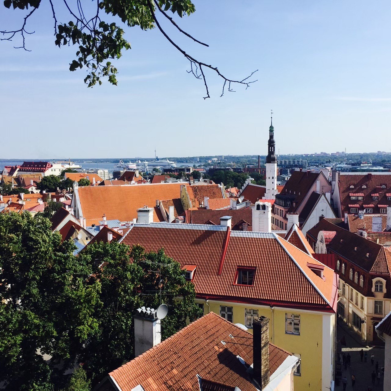 エストニアの写真